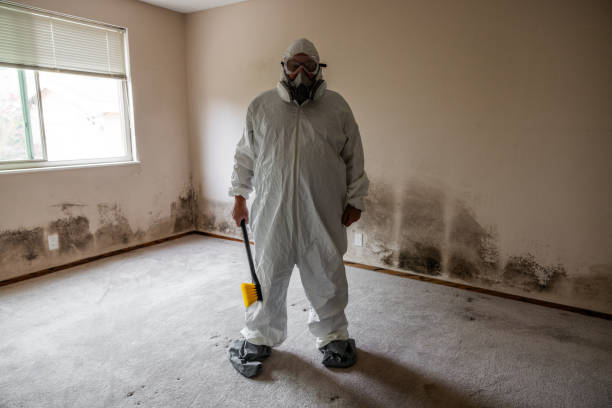 Best DIY Mold Remediation Support Services in Bel Air North, MD
